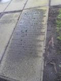 image of grave number 568999